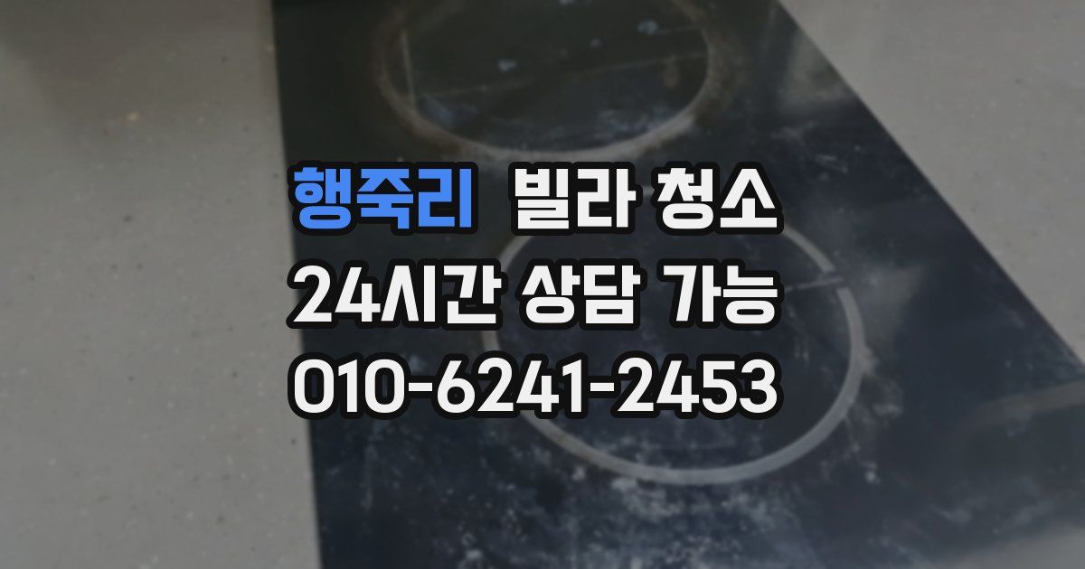 행죽리 빌라 청소