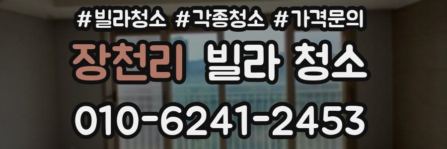 장천리 빌라 청소