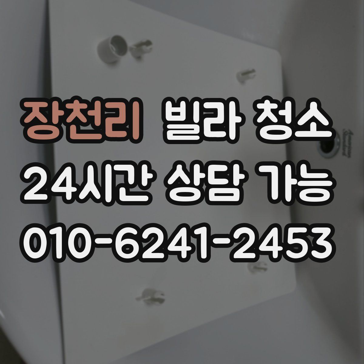 장천리 빌라 청소