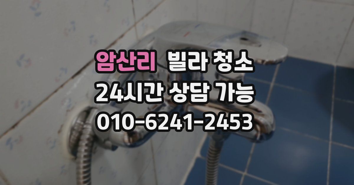 암산리 빌라 청소