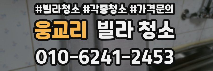 웅교리 빌라 청소