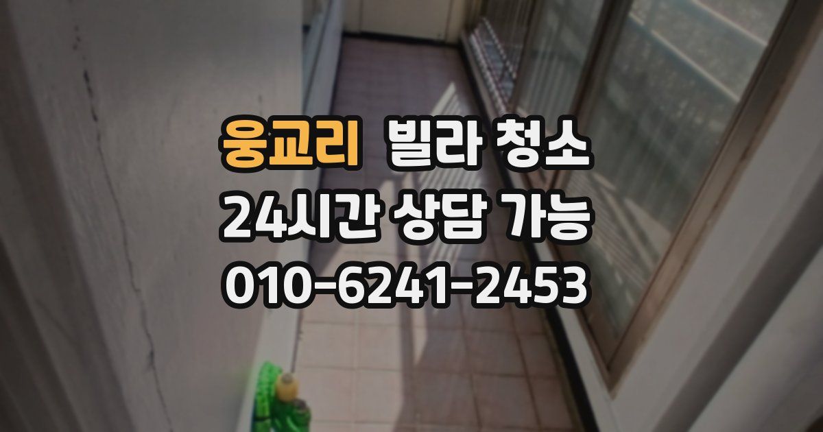 웅교리 빌라 청소