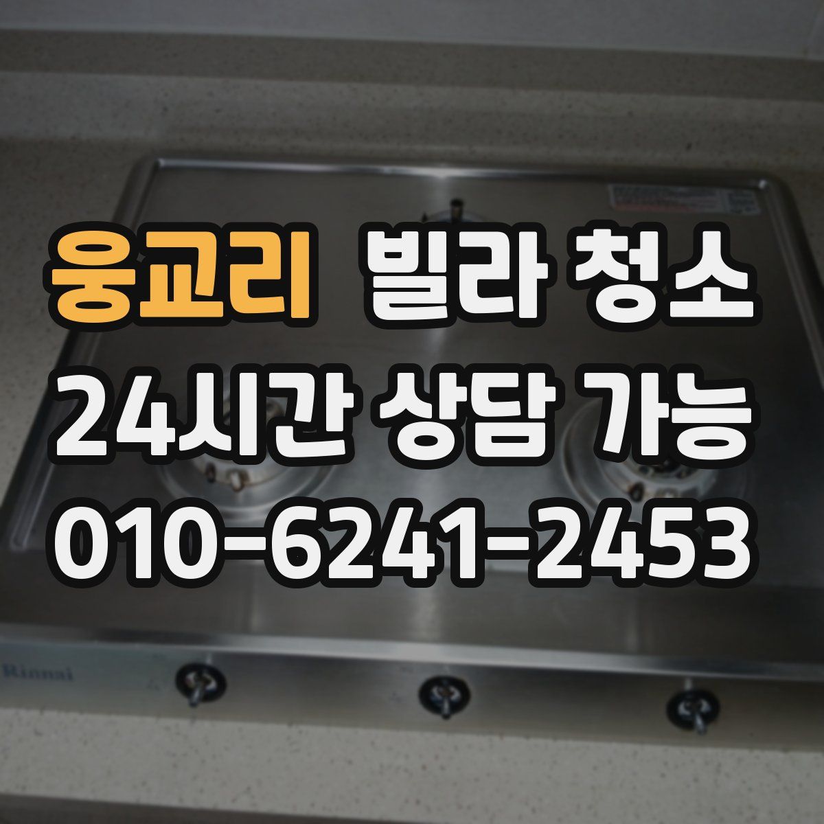 웅교리 빌라 청소