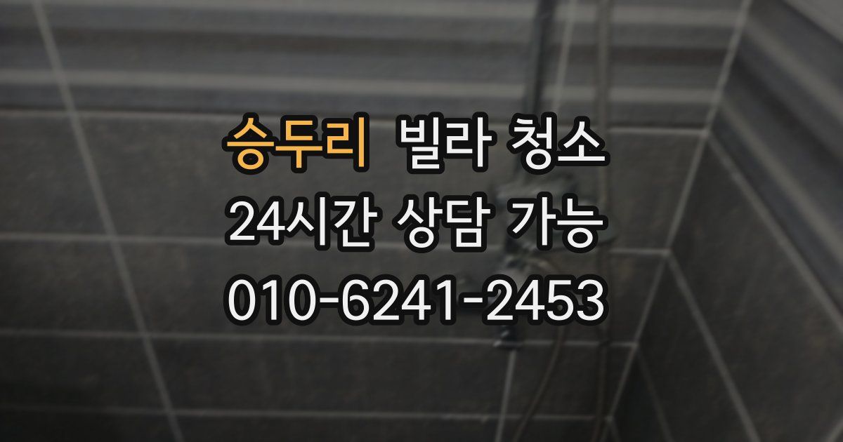 승두리 빌라 청소