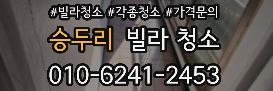 승두리 빌라 청소