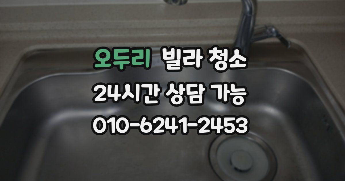 오두리 빌라 청소