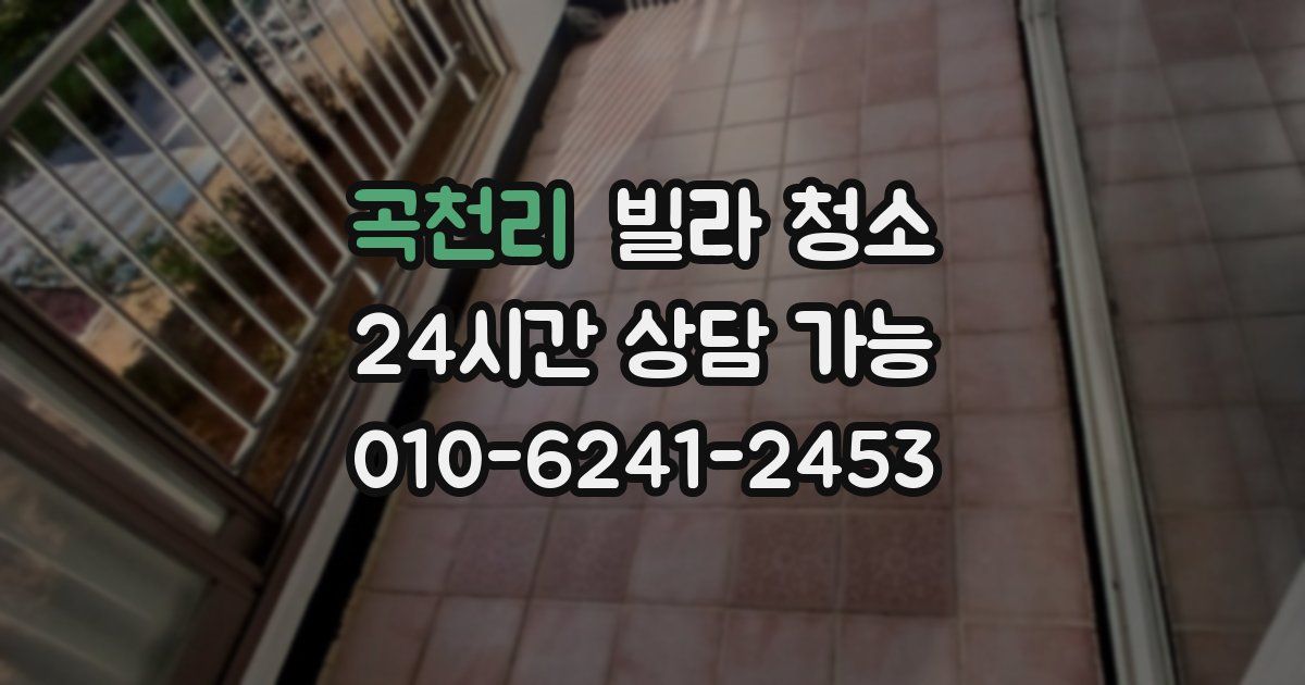 곡천리 빌라 청소