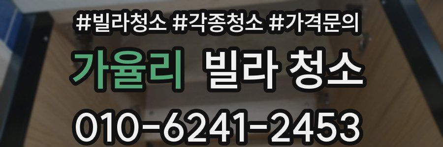 가율리 빌라 청소