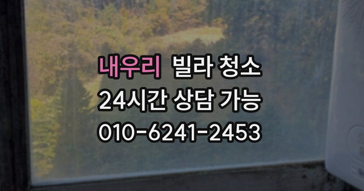 내우리 빌라 청소