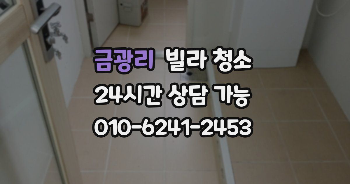 금광리 빌라 청소