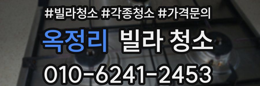 옥정리 빌라 청소