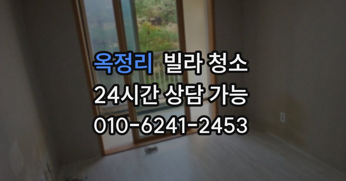 옥정리 빌라 청소