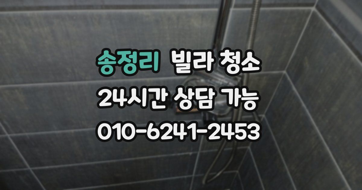 송정리 빌라 청소