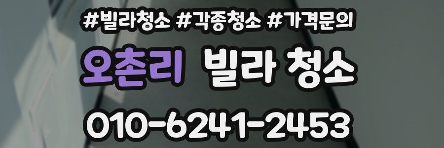 오촌리 빌라 청소