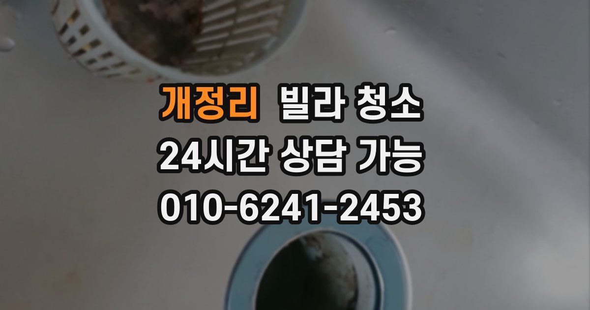 개정리 빌라 청소