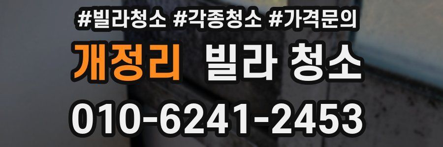 개정리 빌라 청소