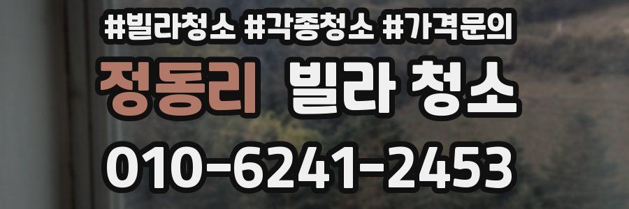 정동리 빌라 청소