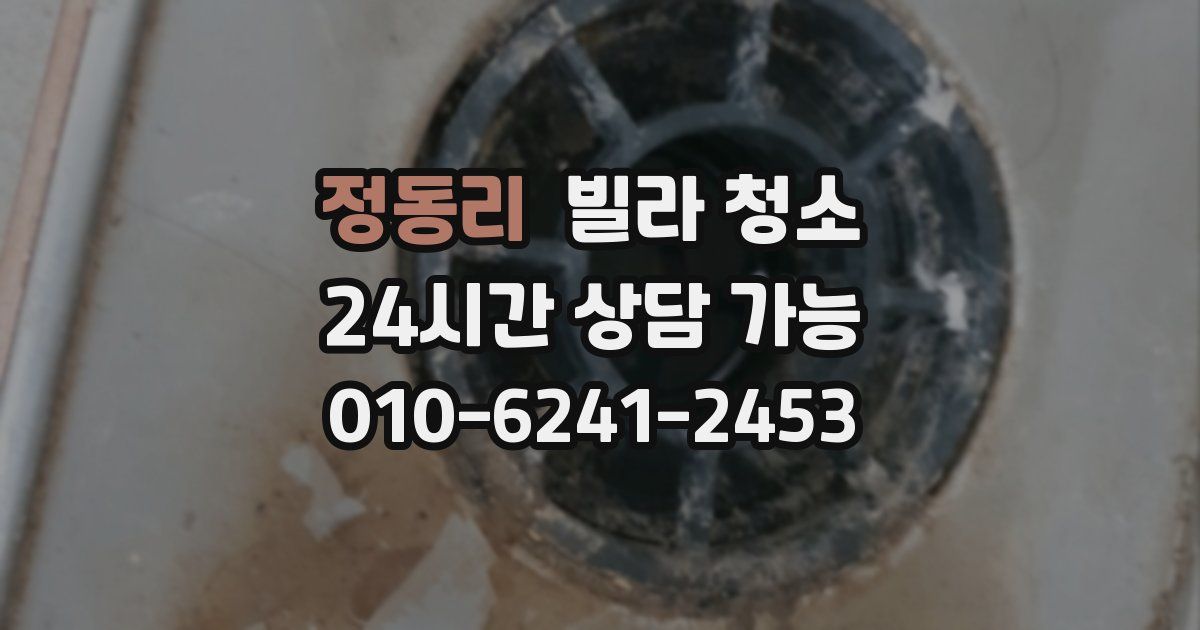 정동리 빌라 청소