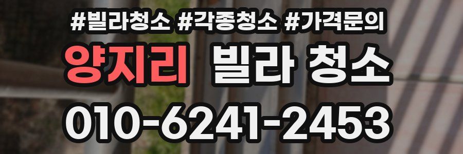 양지리 빌라 청소