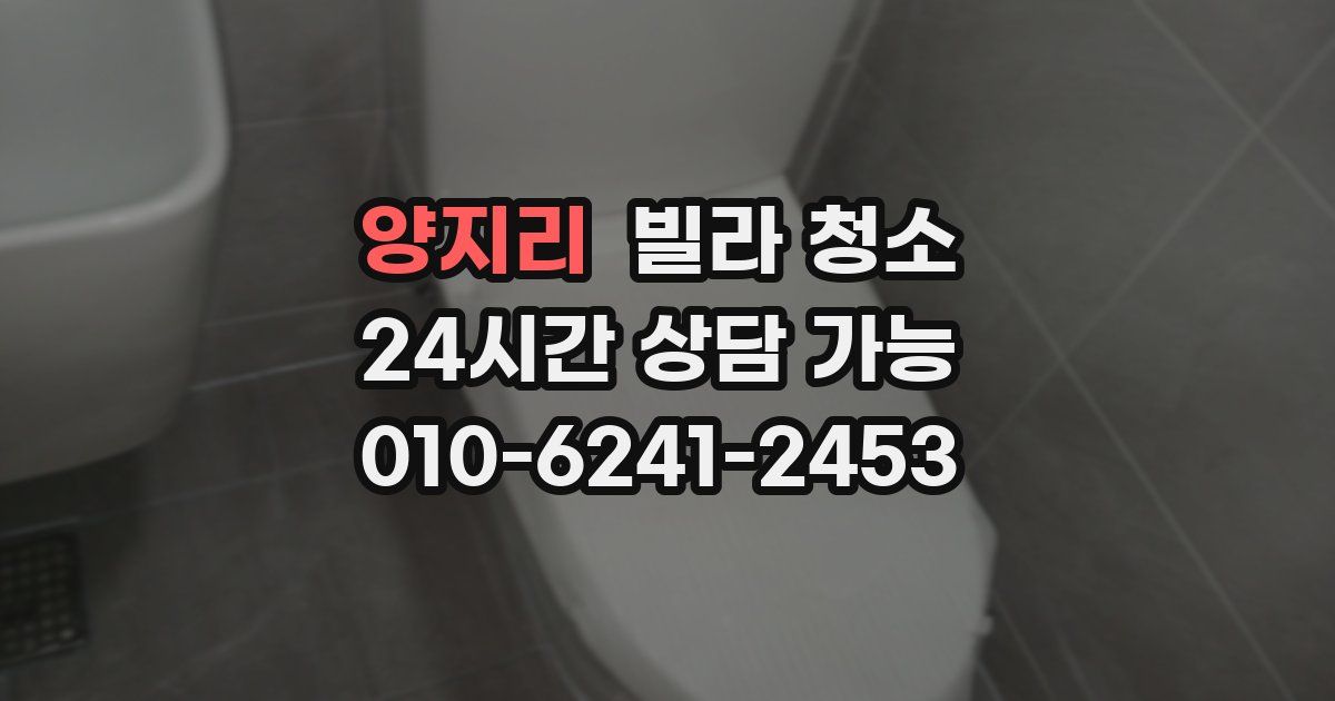 양지리 빌라 청소