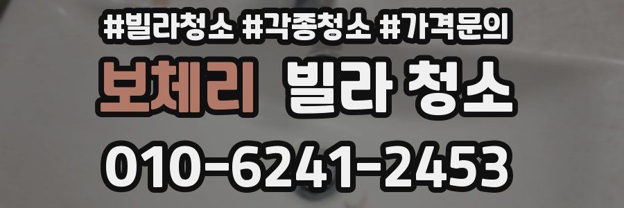 보체리 빌라 청소