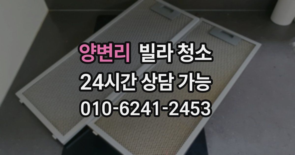 양변리 빌라 청소