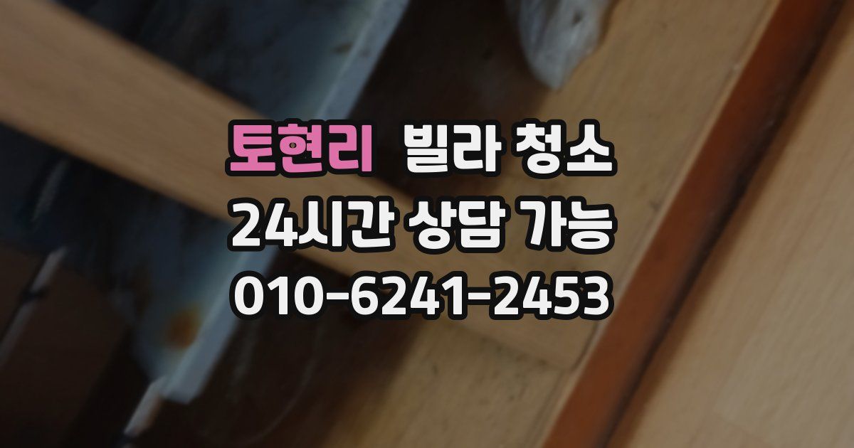 토현리 빌라 청소