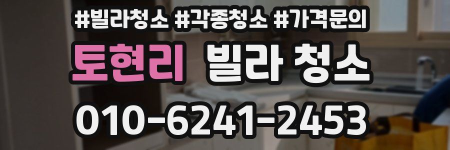 토현리 빌라 청소