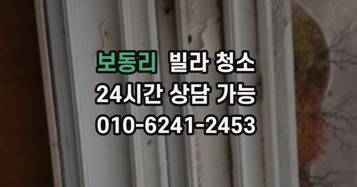 보동리 빌라 청소
