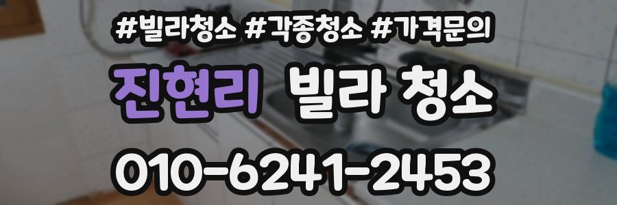 진현리 빌라 청소