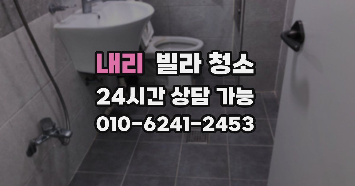 내리 빌라 청소