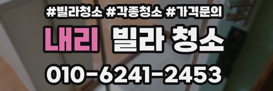 내리 빌라 청소