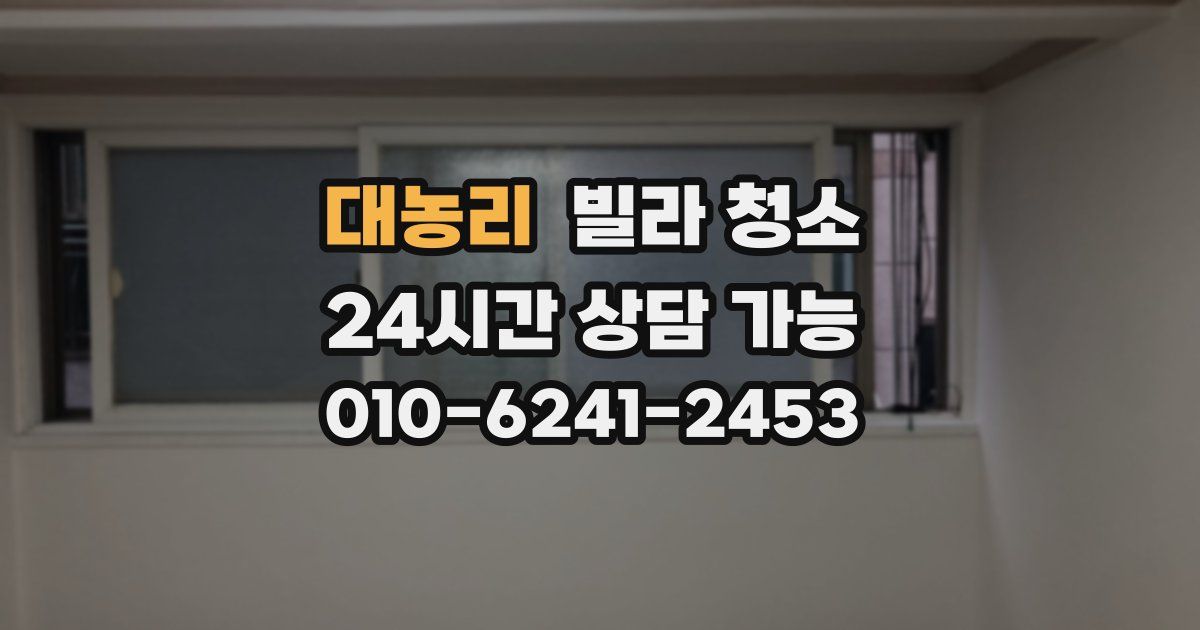 대농리 빌라 청소