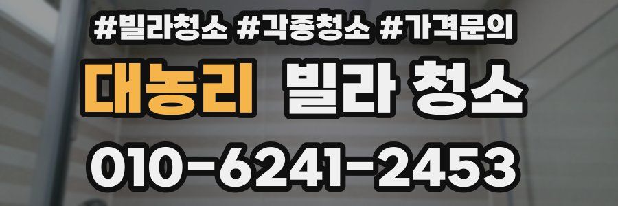 대농리 빌라 청소