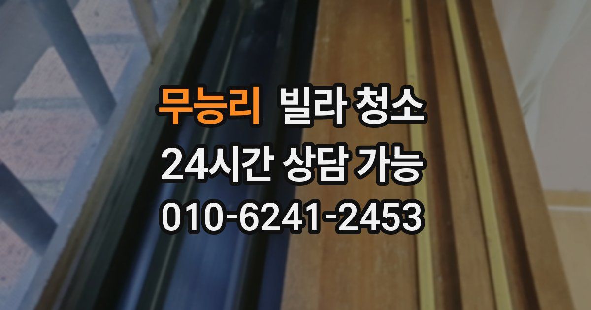 무능리 빌라 청소