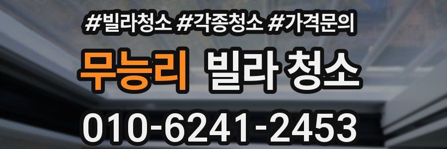 무능리 빌라 청소
