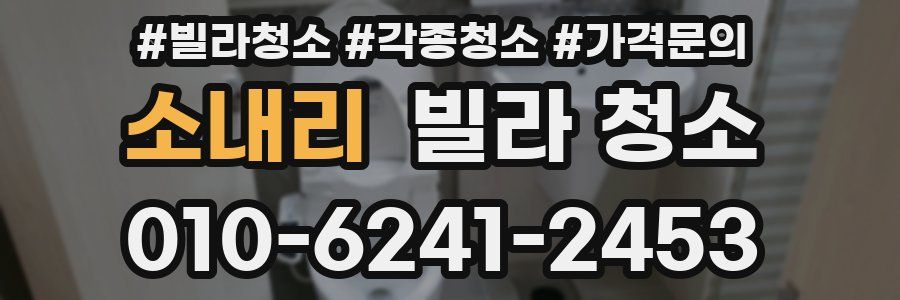 소내리 빌라 청소