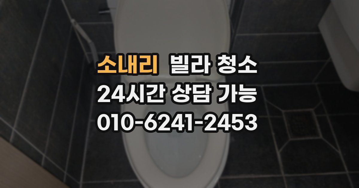 소내리 빌라 청소