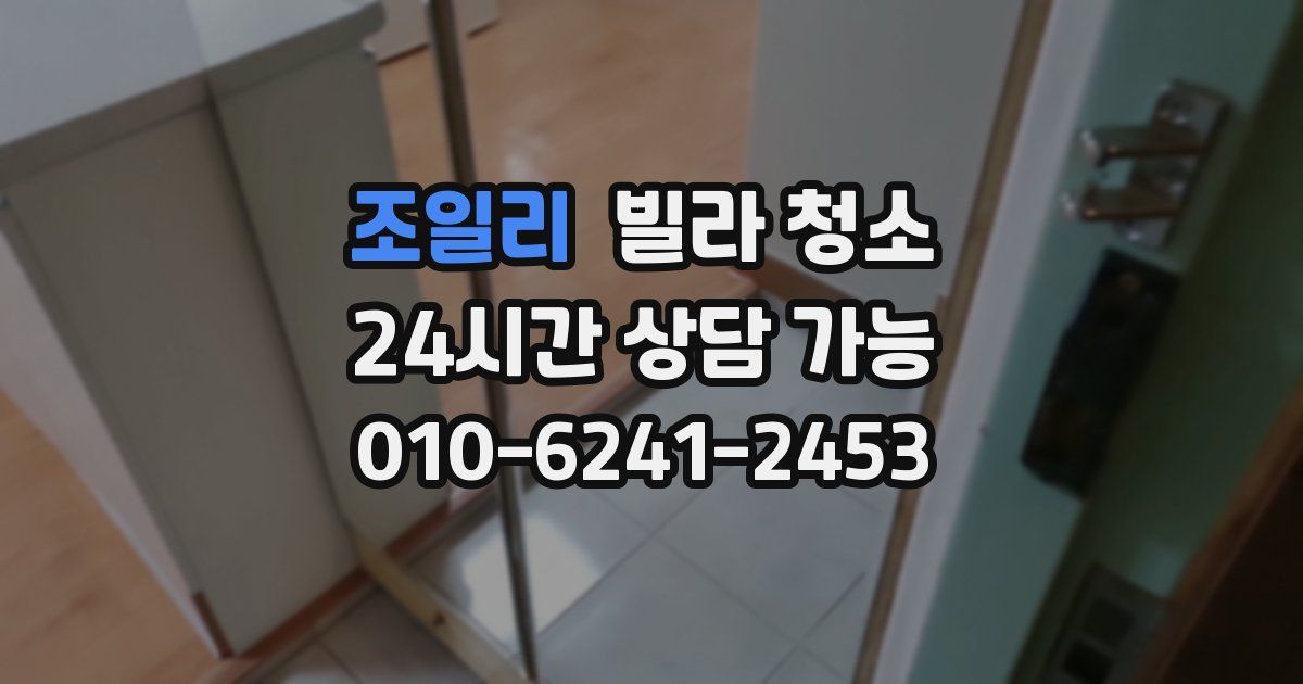 조일리 빌라 청소