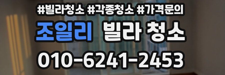 조일리 빌라 청소