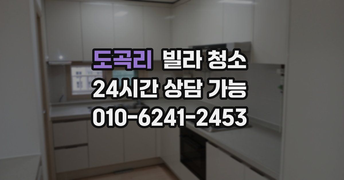 도곡리 빌라 청소