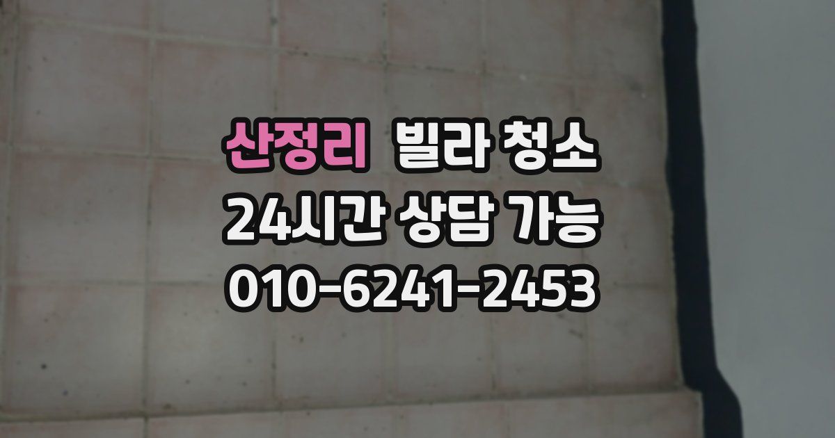 산정리 빌라 청소