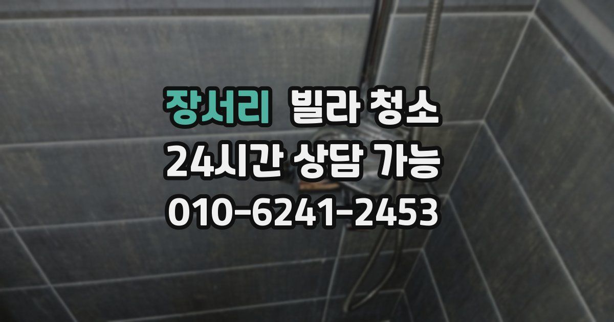 장서리 빌라 청소