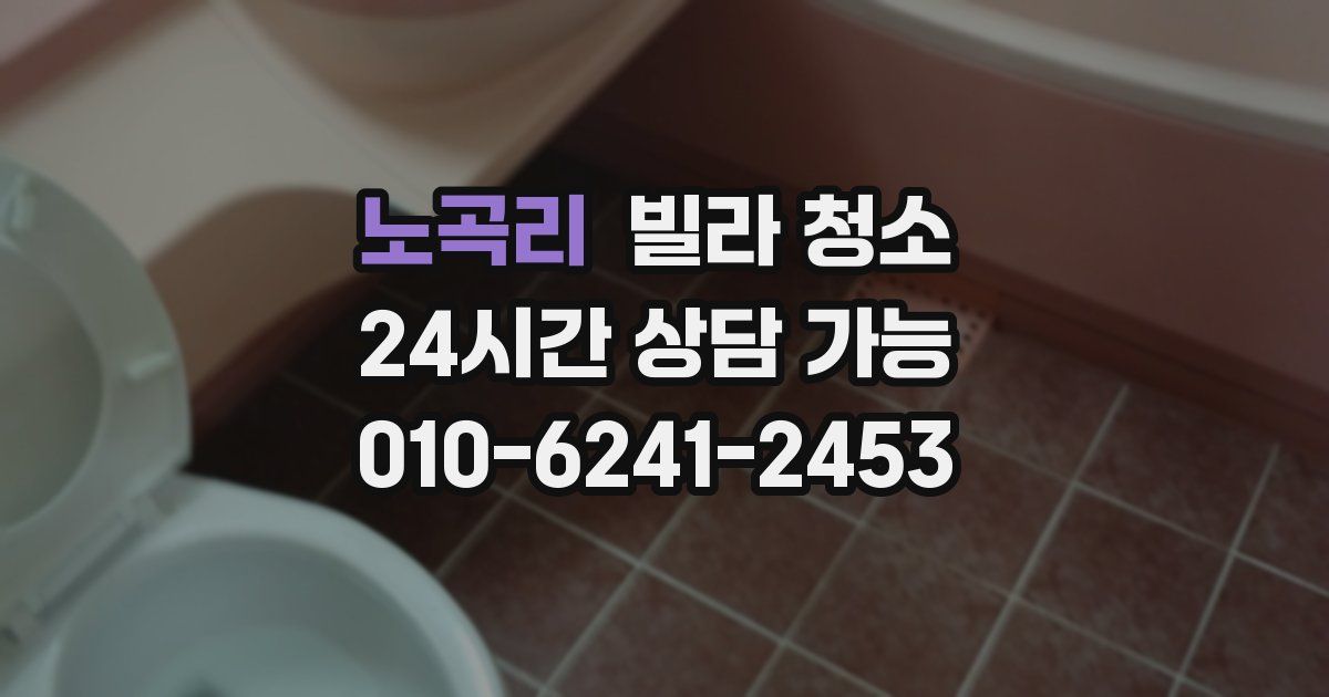 노곡리 빌라 청소