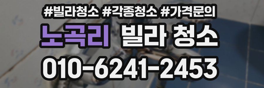 노곡리 빌라 청소