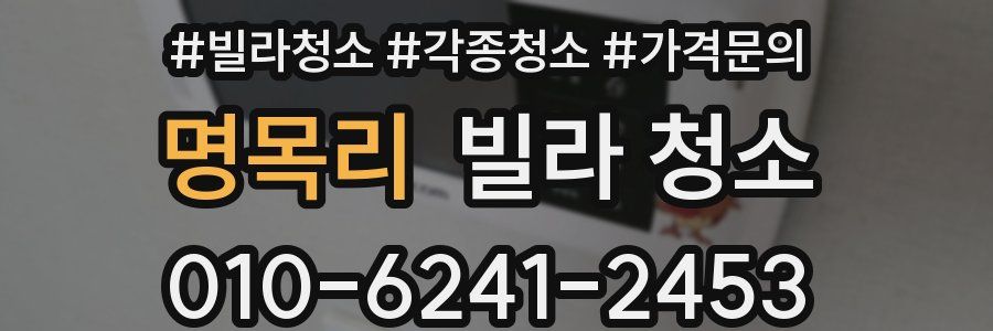 명목리 빌라 청소