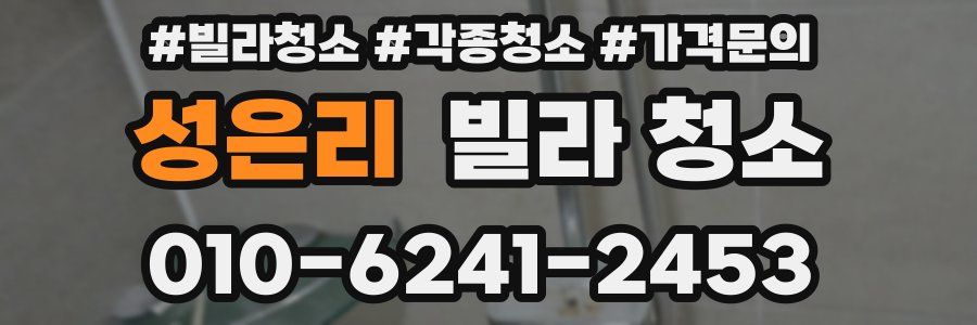 성은리 빌라 청소