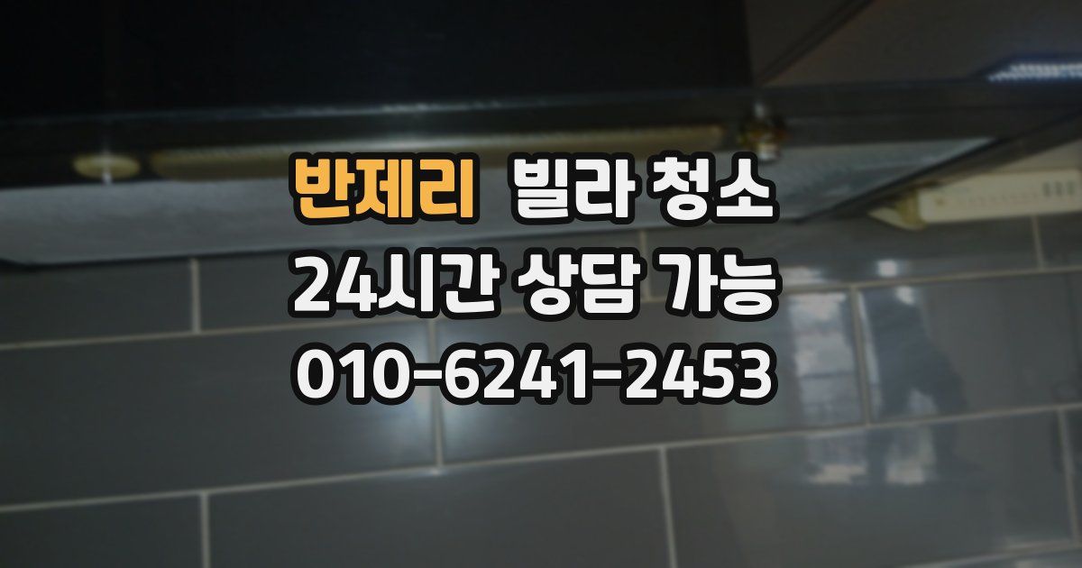 반제리 빌라 청소