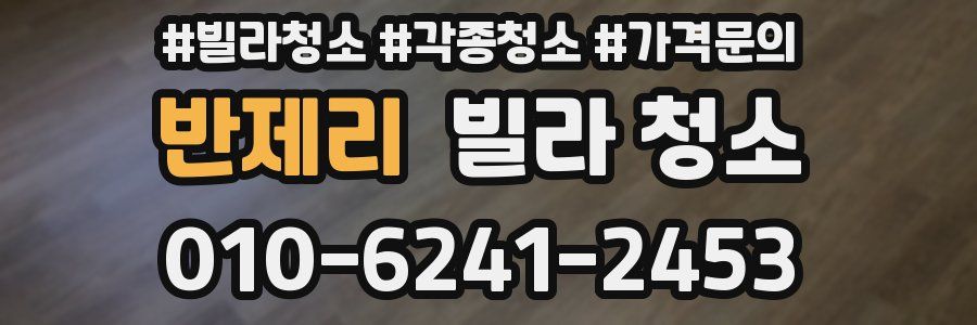 반제리 빌라 청소