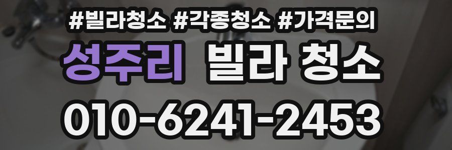 성주리 빌라 청소